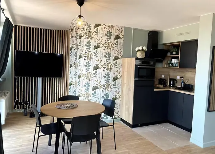 Ecrin Vitre En Plein Appartement Toulouse