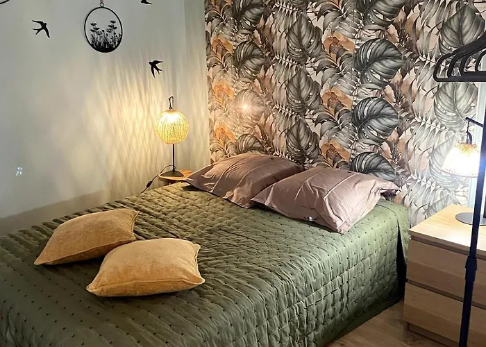 écrin Vitré En Plein Appartement Toulouse